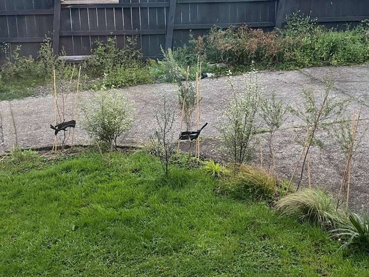 1/39 Simkin Avenue Saint Johns_22