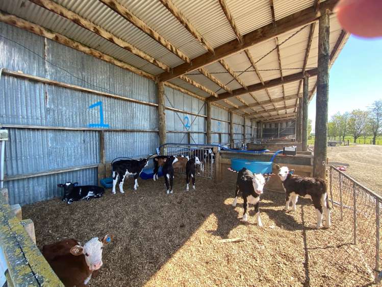 453 Mataura Island Road Wyndham Surrounds_14