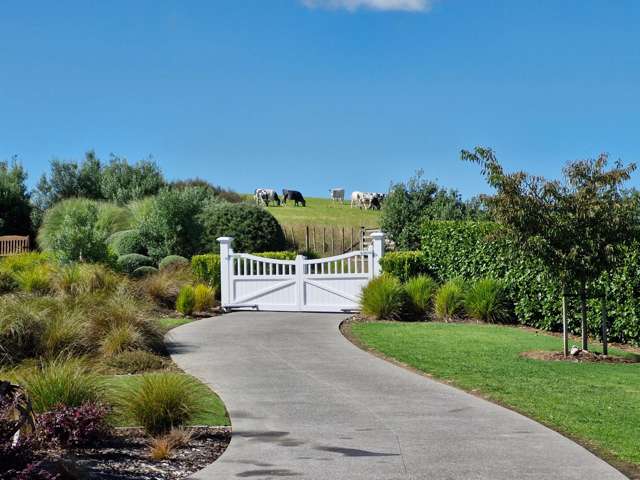 90 Bushlake Way Karaka_2