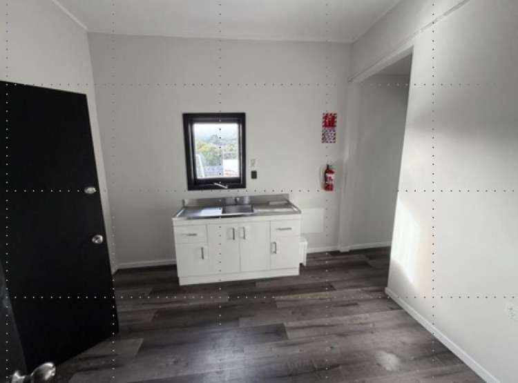224A Dominion Road Mount Eden_6
