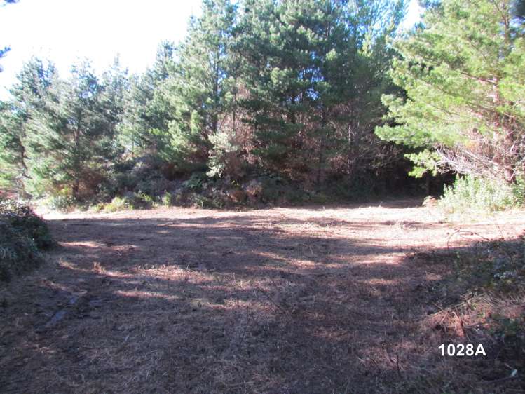 1028 A,B,C McIvor Road Rotoma_9