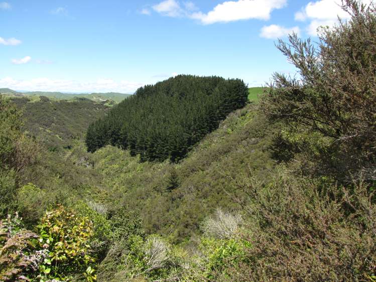 205 Kaweka Road Taihape and Surrounds_12