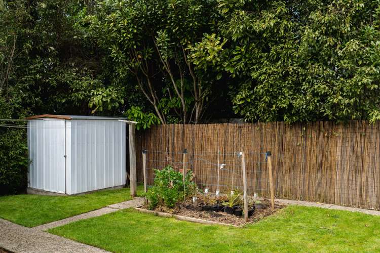 8 Kilgour Street Roslyn_20