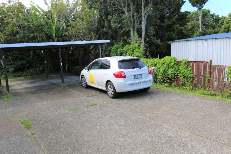 1/20a Woodbine Avenue Greenlane_12