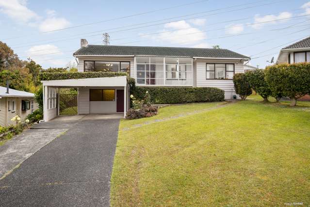 11 Robson Street Mount Roskill_2