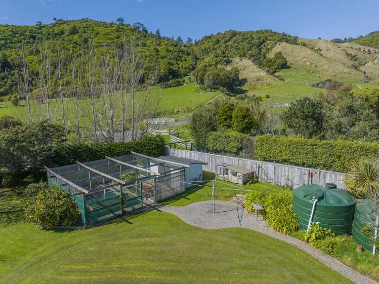 123 Maui Pomare Road Nikau Valley_11