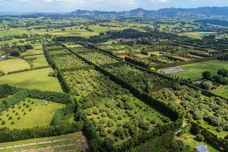 1700 State Highway 14 Maungatapere_25