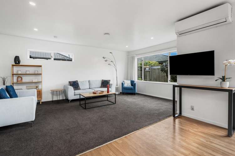 12 McLeish Lane Spreydon_16