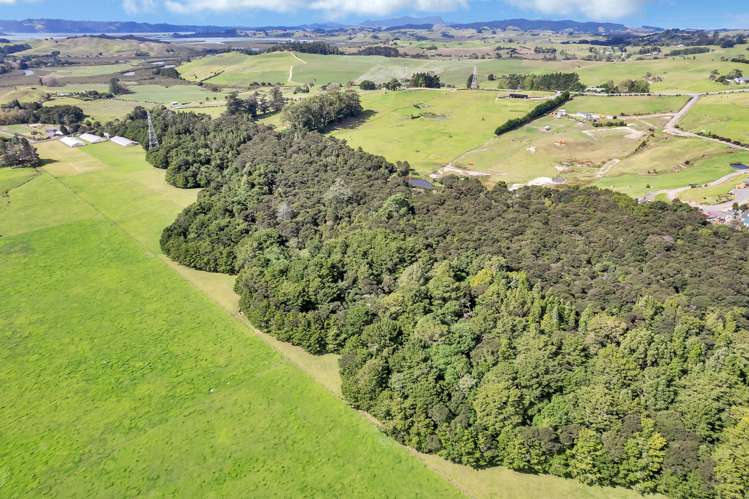 72 Mccullough Road Mangapai and Surrounds_9