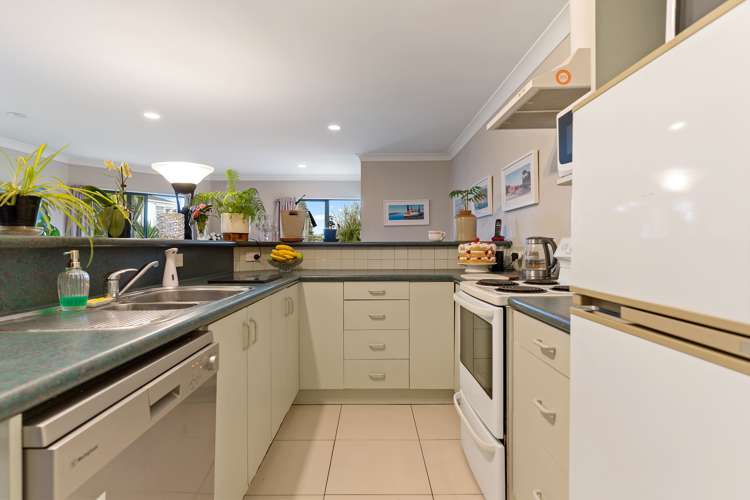 17b Scantlebury Street Tauranga South_9