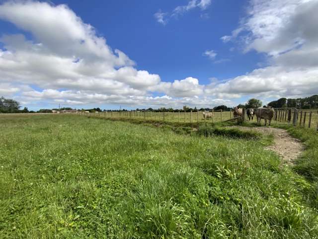 167 Gladstone Road Levin_2