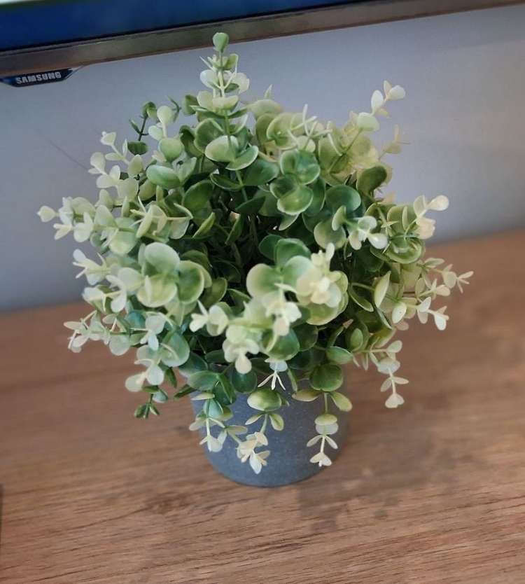 414/22 Nelson Street Auckland Central_12