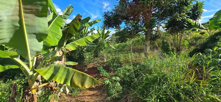 Address withheld Nadi_19