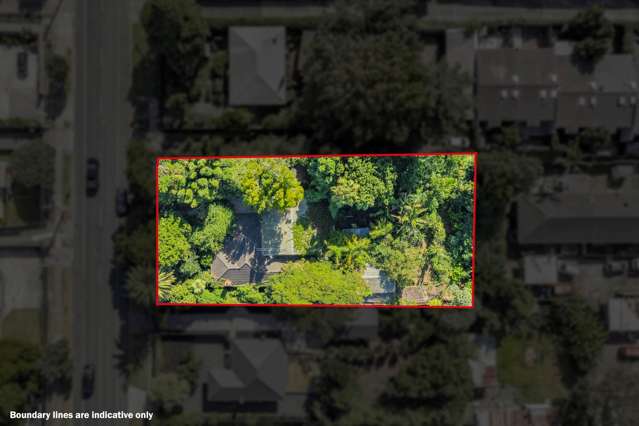 23 Vine Street Mangere East_1