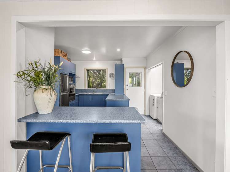 9 Dunrobin Street Waverley_3