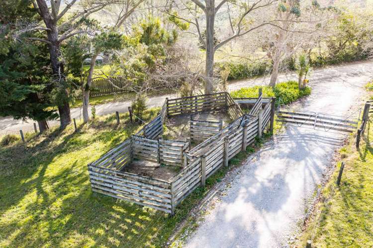318 Franklin Road Paparoa_32