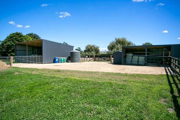 362c Pickering Road Tamahere_17