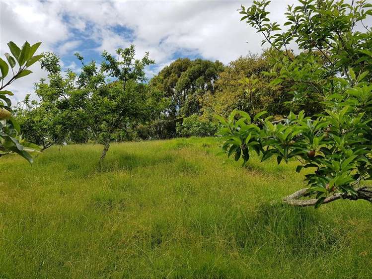 278 State Highway 12 Omapere_14