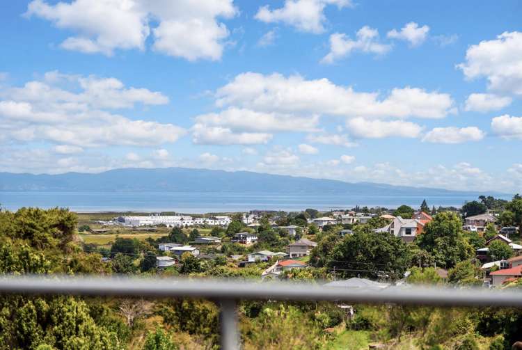 228 The Booms Avenue Thames_16