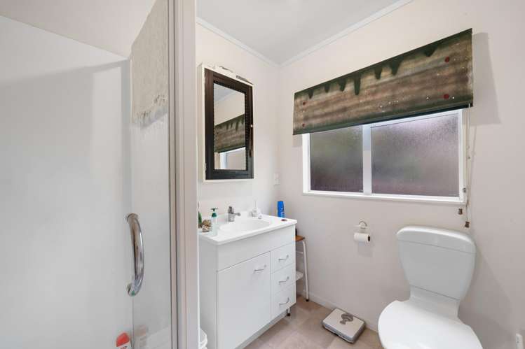 184 Don Buck Road Massey_13