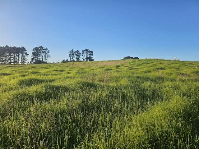 47 Matahehe Lane Tinopai_3