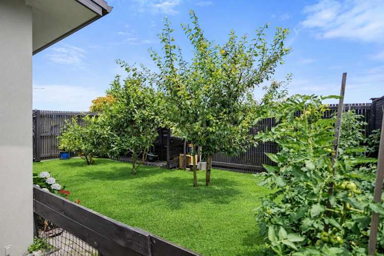 1 Makura Drive Papamoa_15