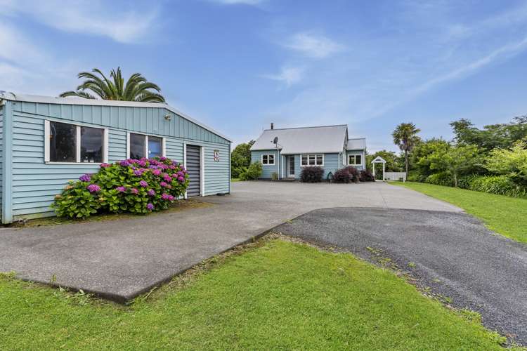 390b Old Highway Whakamarama_13