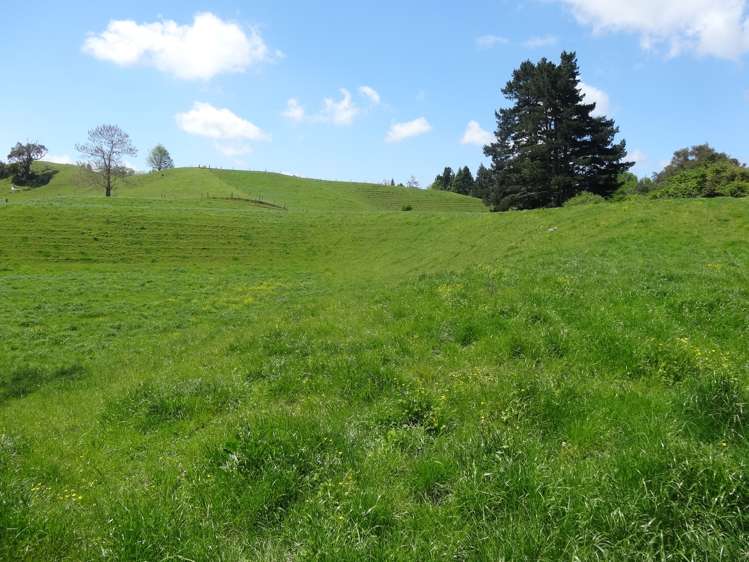 357 State Highway 5 Tapapa_11