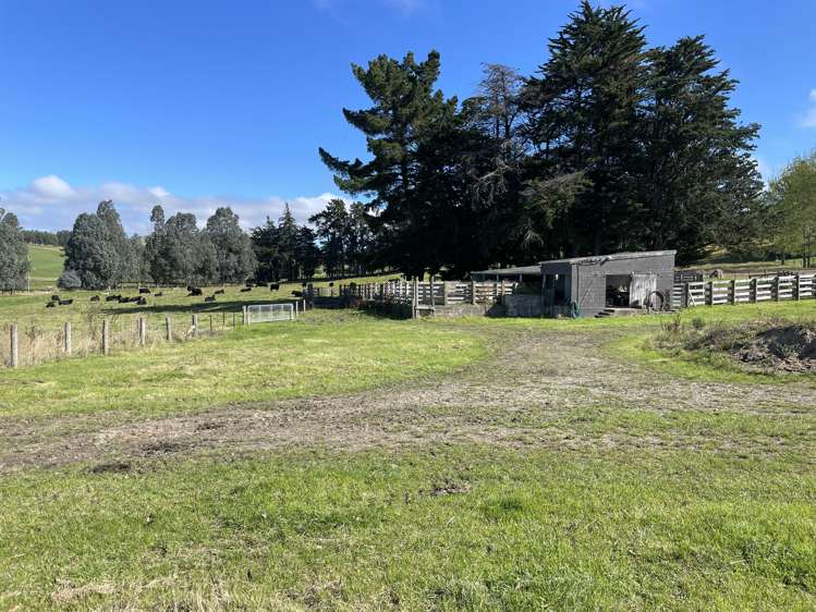 623 Palmerston-Waikouaiti Road Goodwood Palmerston_19