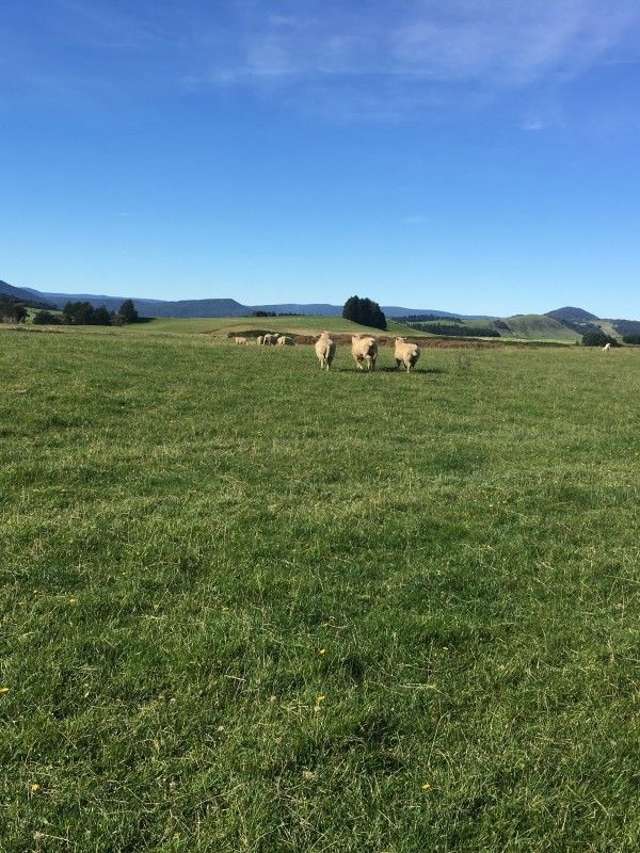 747 Niagara Tokanui Highway Catlins Surrounds_1