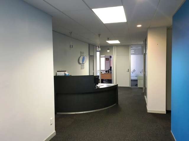 32 Amesbury Street, Palmerston North City Centre_1