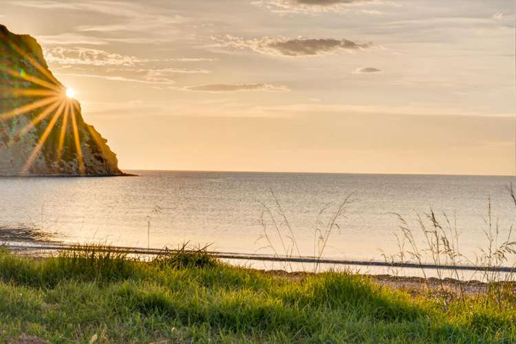 22 Pohutukawa Drive Mahia Peninsula_3