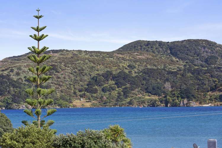 49b Wallis Street Raglan_26