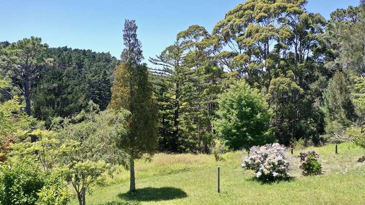 185 Gills Road Albany Heights_9