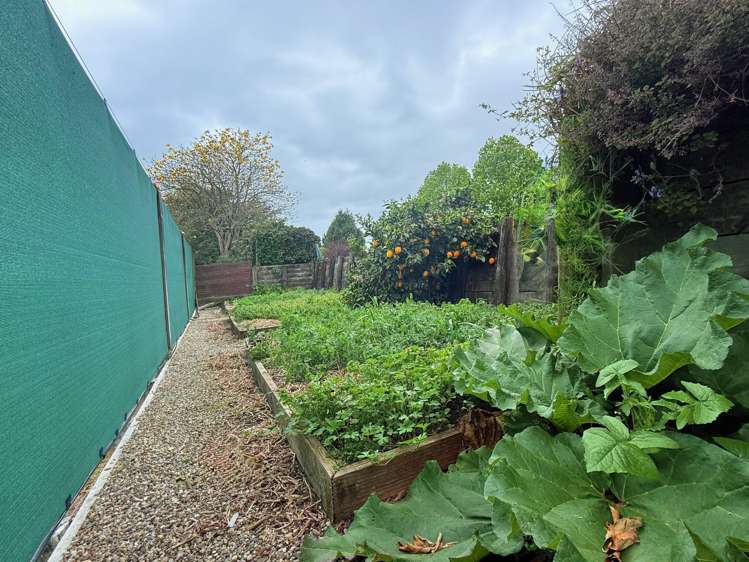 154 Ohinepanea Road Pukehina_46