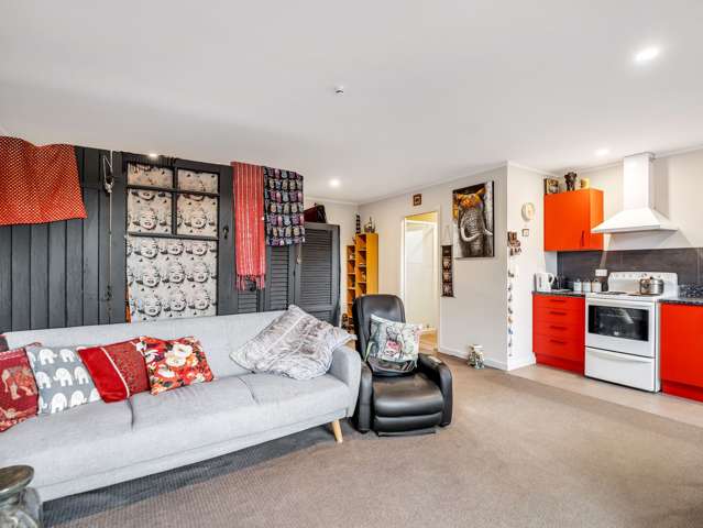 20 and 16 Main Road Owaka_3