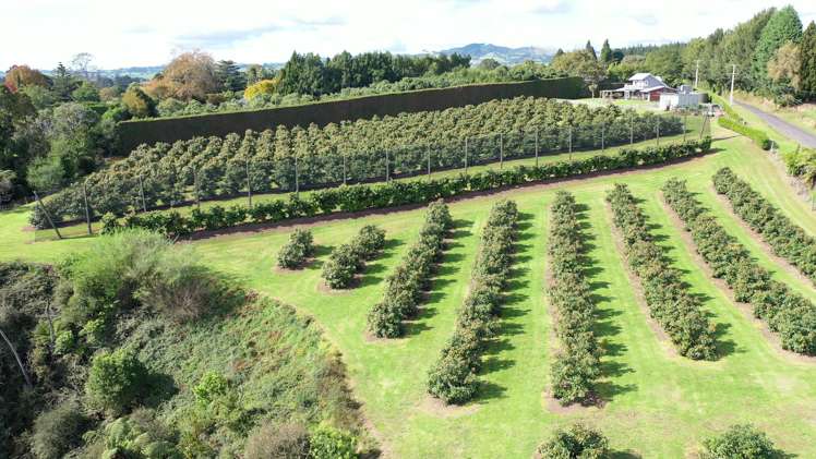 14 Merrick Road Pyes Pa_21