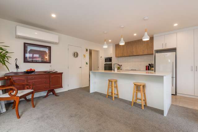 28a Alfred Street Roslyn_3