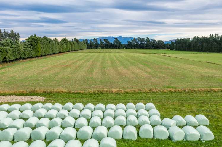 Rockwood Road Hororata_8