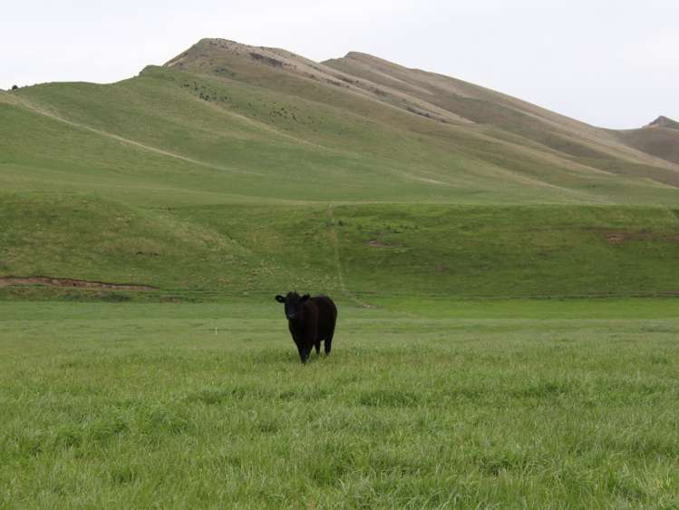 528 Ram Paddock Road Broomfield_19