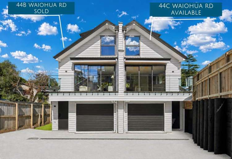 44B & 44C Waiohua Road_0