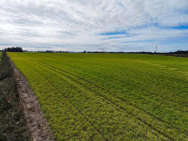 63 Taylor Road Lorneville_2