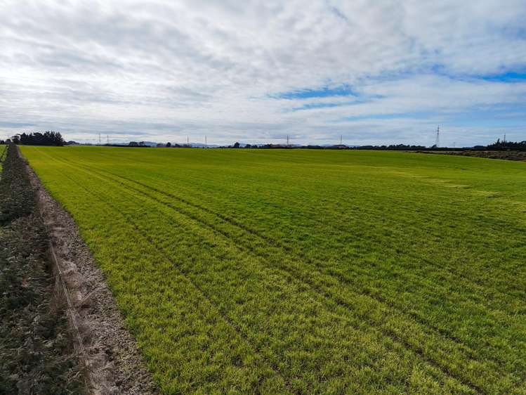 63 Taylor Road Lorneville_2