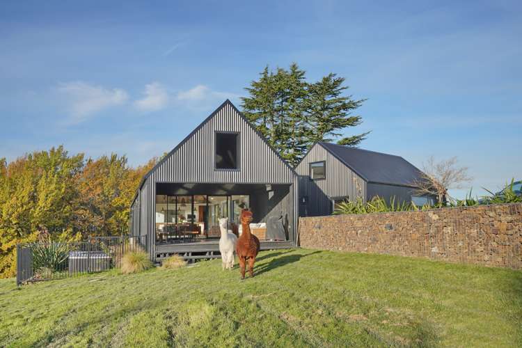 258 Forestry Road Ashley_1