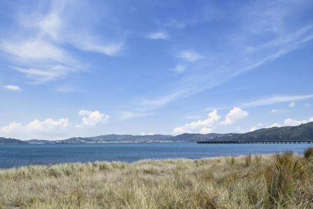 5/139 The Esplanade Petone_2