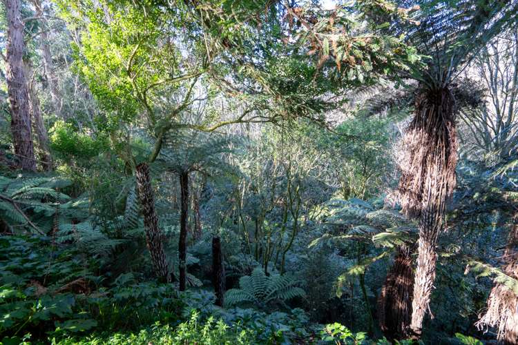 7 Belloc Street Leamington_18