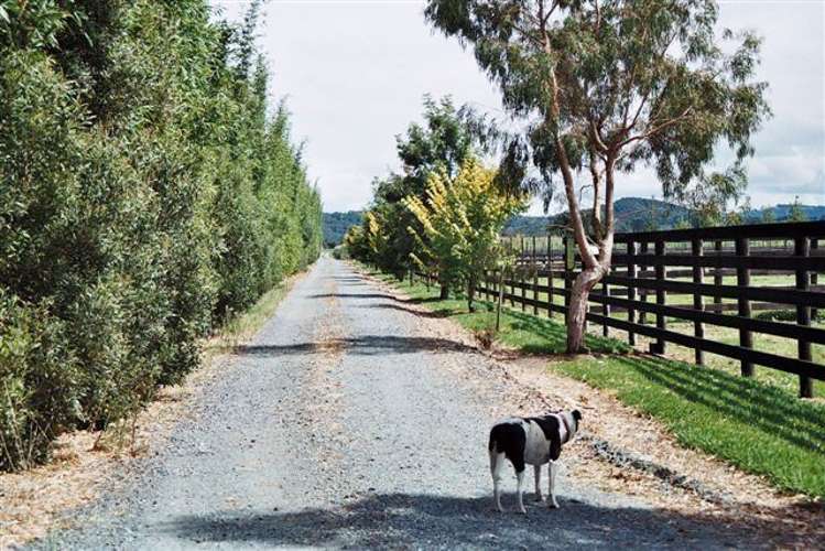 119 Saint Marys Road Waipu_10