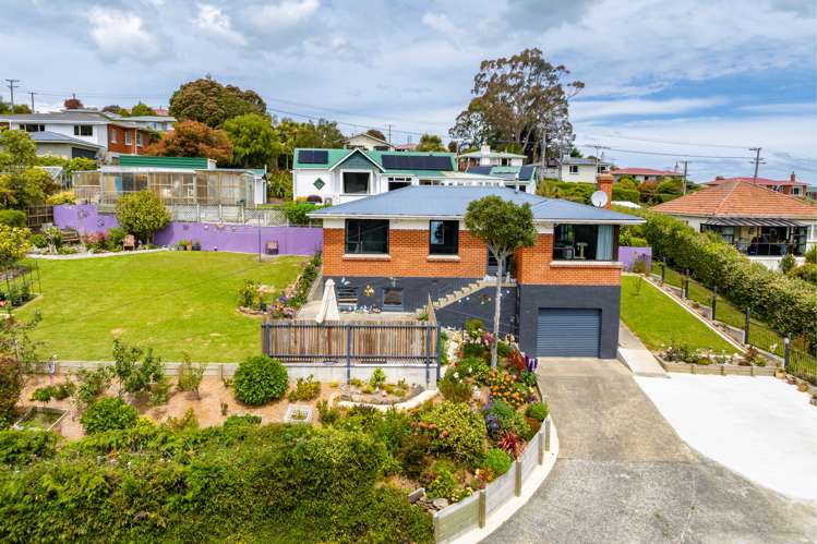 440 Pine Hill Road Pine Hill_21