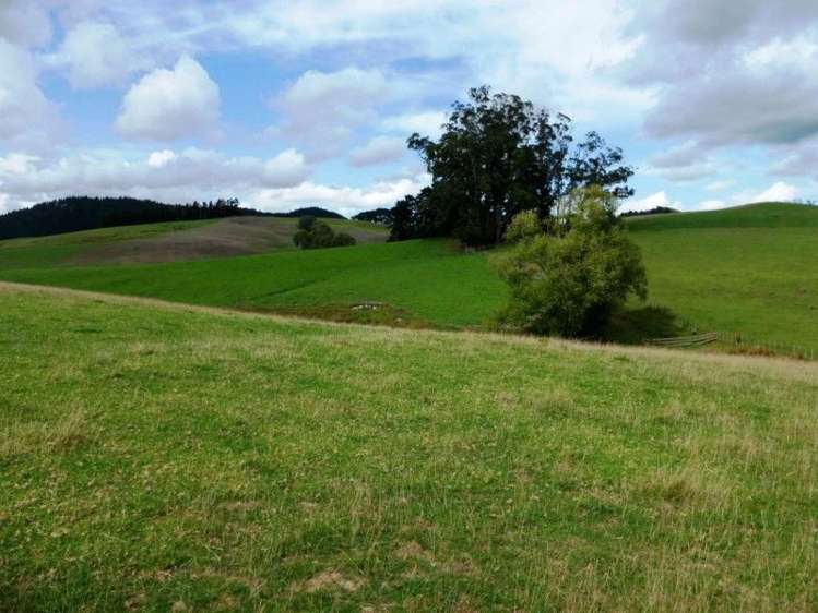 1577 Tangowahine Valley Road Dargaville Surrounds_15