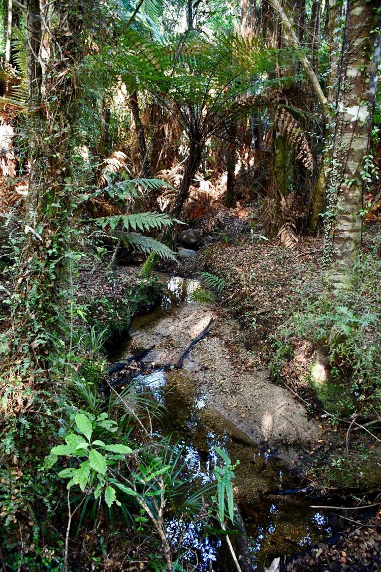 70 Sunset Heights Road Karamea_11
